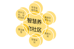 九部門指導加快實施老年人居家適老化改造工程,安防產品迎來新機遇